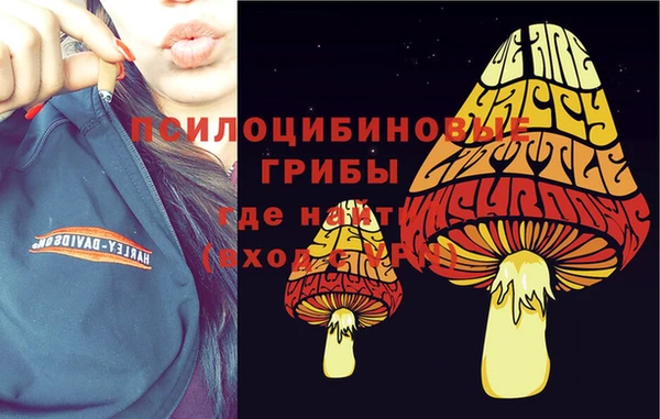 кристаллы Надым