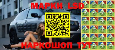 хмурый Гатчина